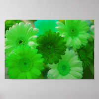 Green Gerbera Daisy Blume Wall Art Print Poster