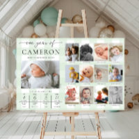 Green Gingham First Birthday Foto Milestone