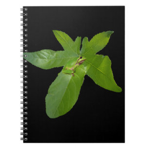Green Graf Leaf Frog, Notebook Notizblock