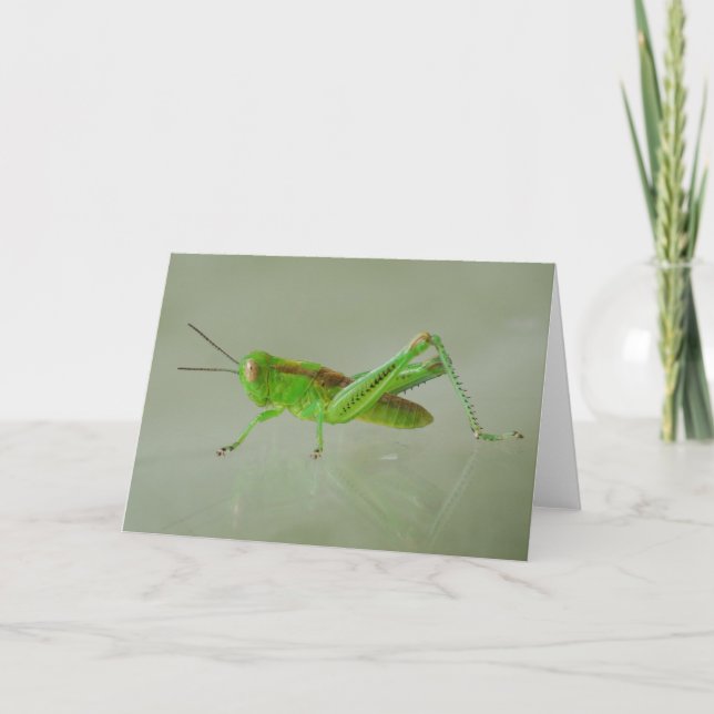 Green Grasshopper-Karte Karte (Vorderseite)