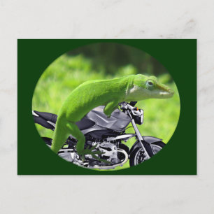Green Hawaiian Gecko Rider Postkarte
