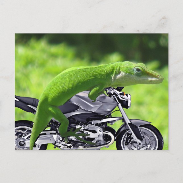 Green Hawaiian Gecko Rider Postkarte (Vorderseite)