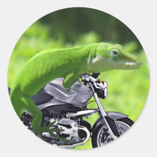 Green Hawaiian Gecko Rider Runder Aufkleber