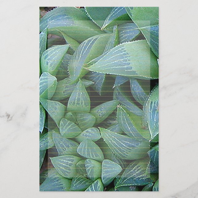 Green Haworthia Pflanze Lined Stationery Briefpapier (Vorderseite)
