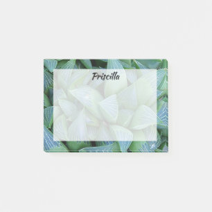 Green Haworthia Sukkulente Pflanze Custom Stickies Post-it Klebezettel