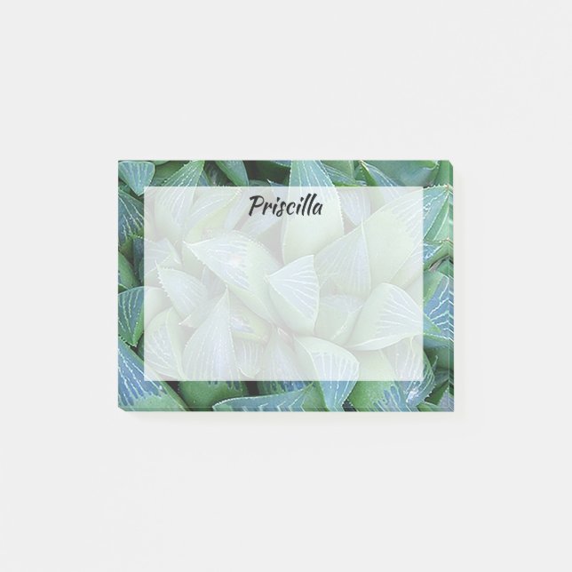 Green Haworthia Sukkulente Pflanze Custom Stickies Post-it Klebezettel (Vorderseite)