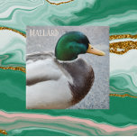 Green Headed Mallard Drake Fliese<br><div class="desc">Die naturbelassene Keramik, die das Foto einer Mallard-Drache mit grünem Kopf, dem Männchen der Ente, darstellt. Wählen Sie Ihre Kachelgröße aus. Eine tolle Küche trivet!</div>