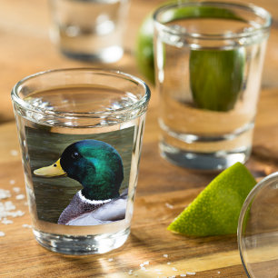 Green Headed Mallard Duck Schnapsglas