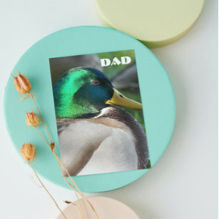 Green Headed Mallard Duck Vatertag Card Karte