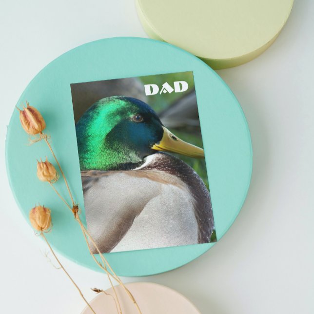 Green Headed Mallard Duck Vatertag Card Karte (In Situ)