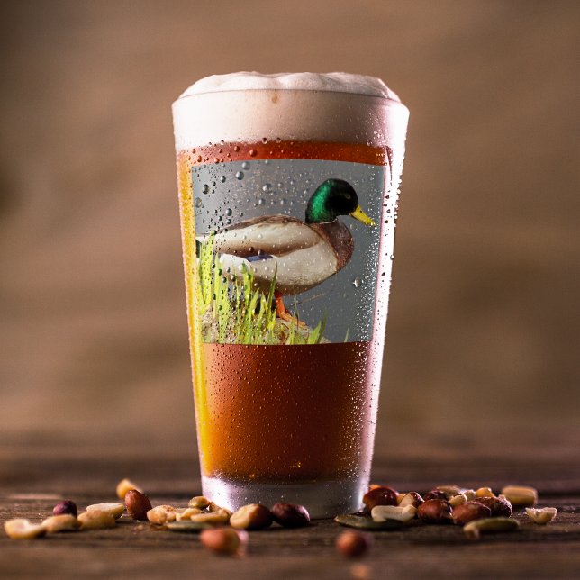Green Headed Mallard Duck Wildlife Foto Glas (In Situ Beer)