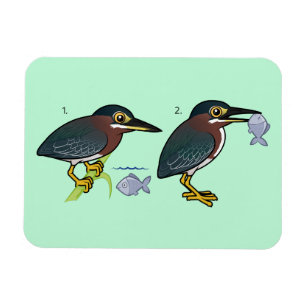 Green Heron Junting Technique Magnet