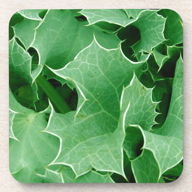 Green Holly fermer Ensemble de Dessous de verre de (Devant)