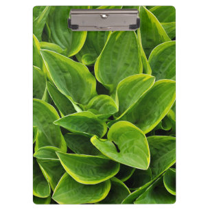 Green hosta-Blätter drucken Klemmbrett