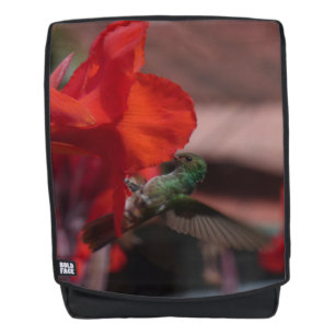 Green Hummingbird auf Orange Blume Adult Rucksack