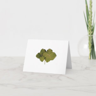 Green Hydrangea note card Karte