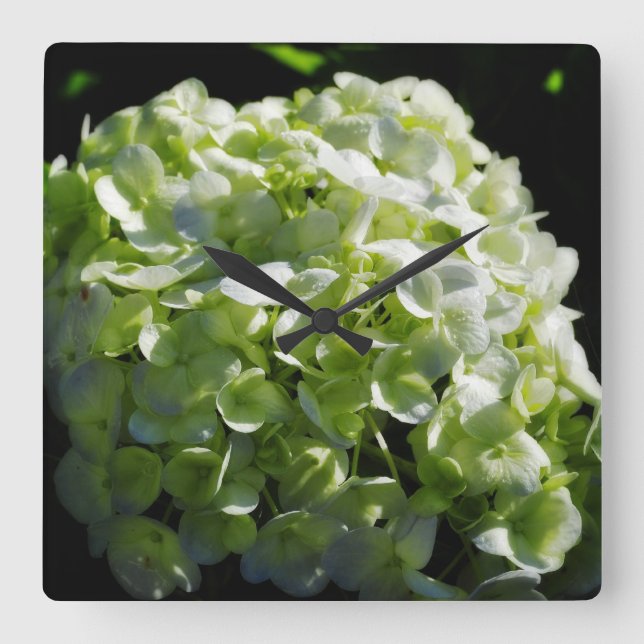 Green Hydrangeas Flowers Quadratische Wanduhr (Vorderseite)