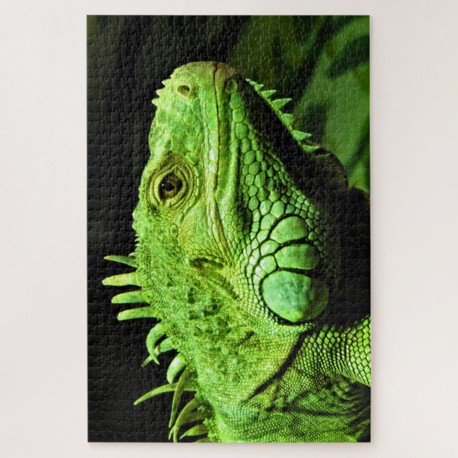 Green Iguana (Vertikal)