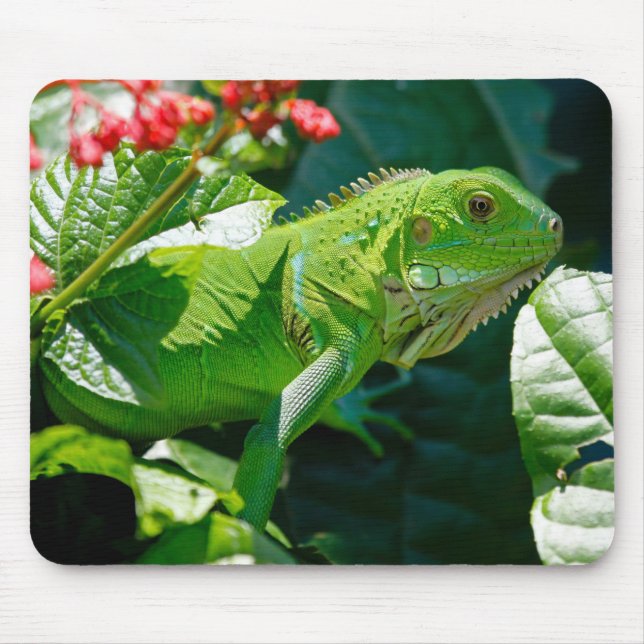 Green Iguana Lizard Mousepad (Vorne)