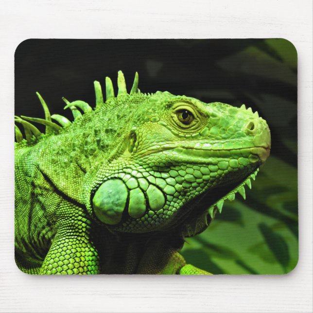 Green Iguana Mousepad (Vorne)