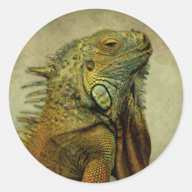 Green Iguana Runder Aufkleber (Vorderseite)