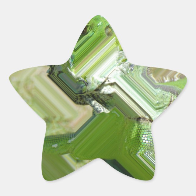 Green Iguana Stern-Aufkleber (Vorderseite)