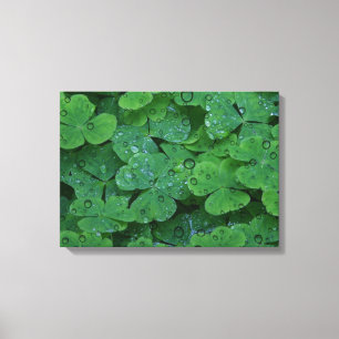Green Irish Closed Wall Leinwand