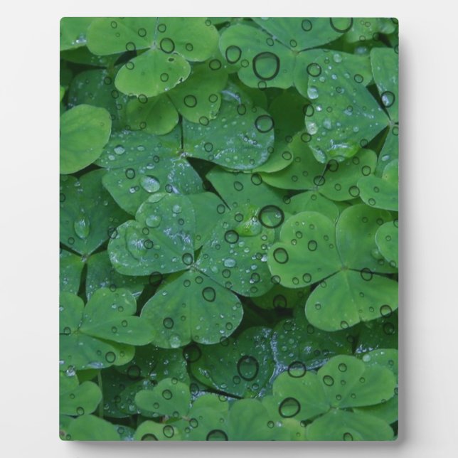 Green Irish Clover Fotoplatte (Vorderseite)