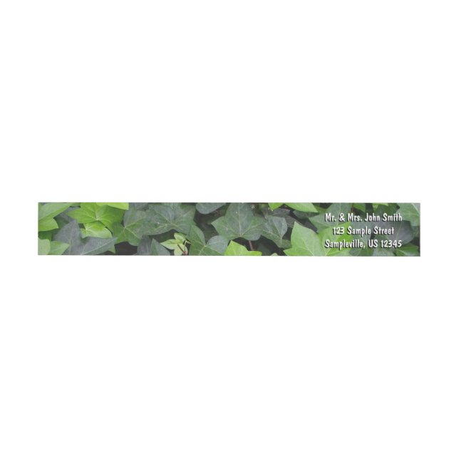 Green Ivy Botanical Print (Person)