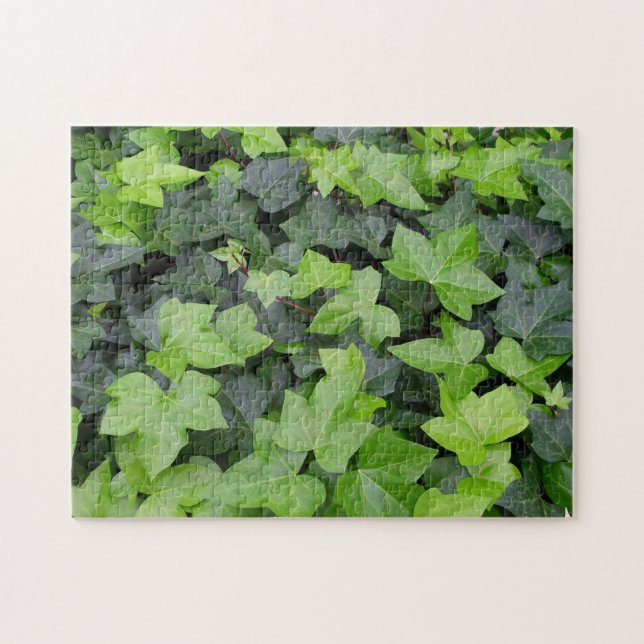 Green Ivy Botanical Print (Horizontal)