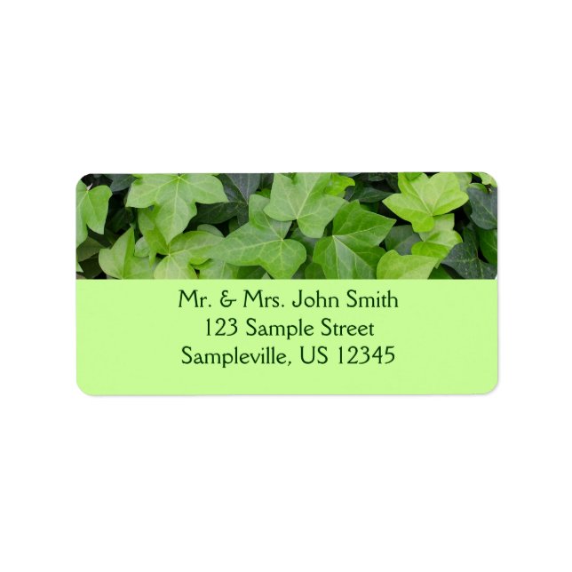 Green Ivy Botanical Print Adressaufkleber (Vorne)
