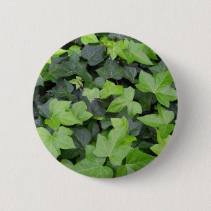 Green Ivy Botanical Print Button