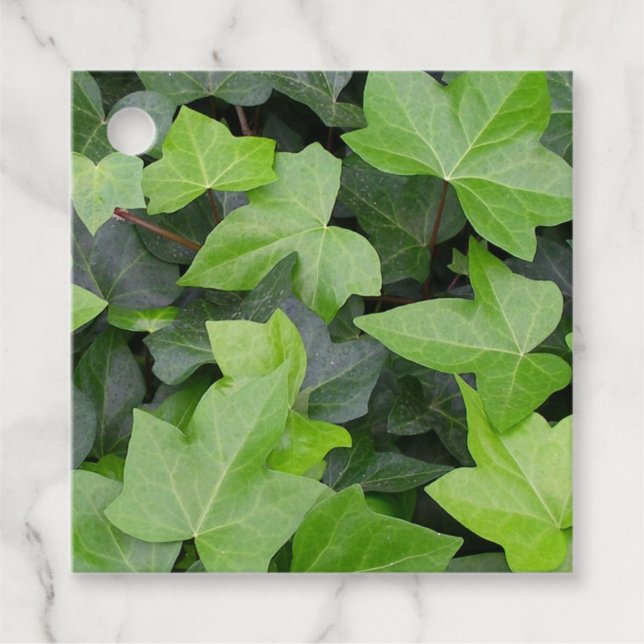 Green Ivy Botanical Print Geschenkanhänger (Vorderseite)