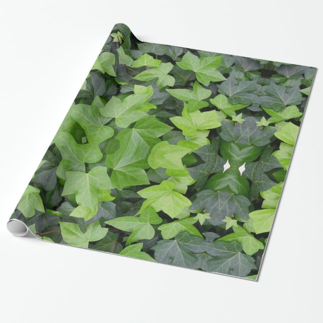 Green Ivy Botanical Print Geschenkpapier (Ungerollt)