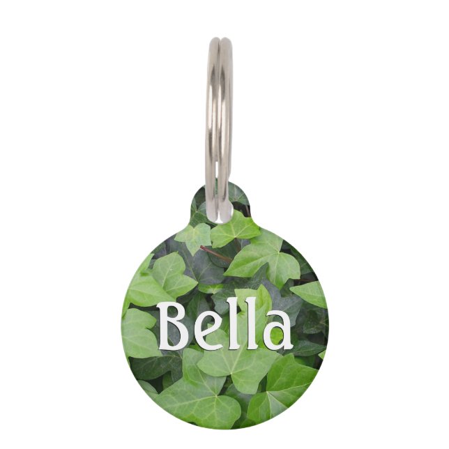 Green Ivy Botanical Print Haustiermarke (Vorderseite)