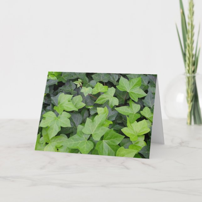 Green Ivy Botanical Print Karte (Vorderseite)