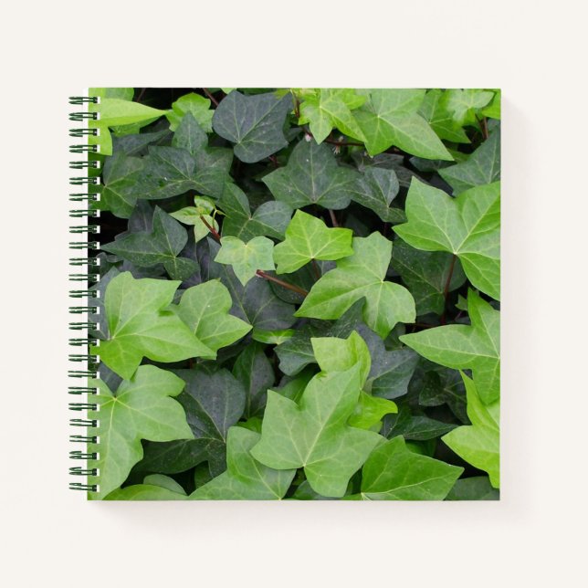 Green Ivy Botanical Print Notizbuch (Vorderseite)
