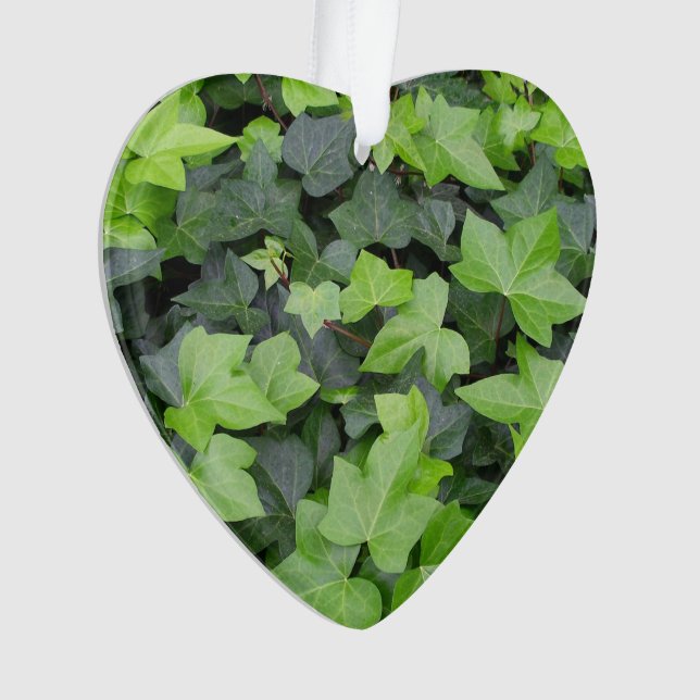 Green Ivy Botanical Print Ornament (Vorderseite)