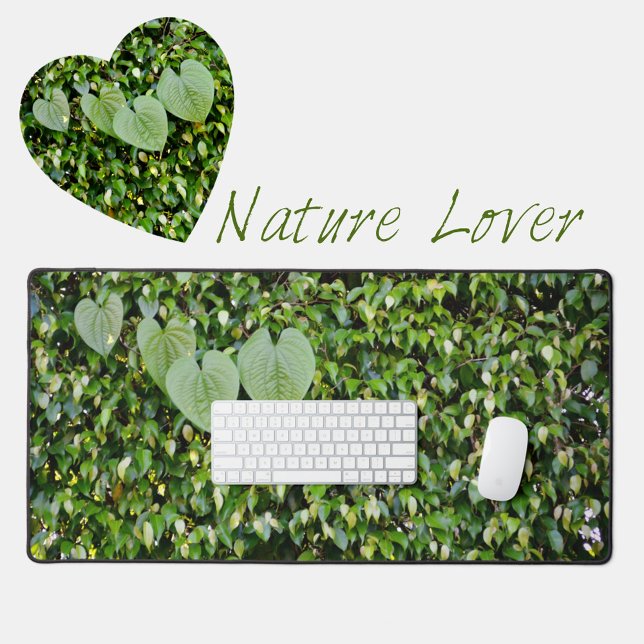 Green Ivy Heart Shape Blätter Naturfotografie Schreibtischunterlage (Von Creator hochgeladen)