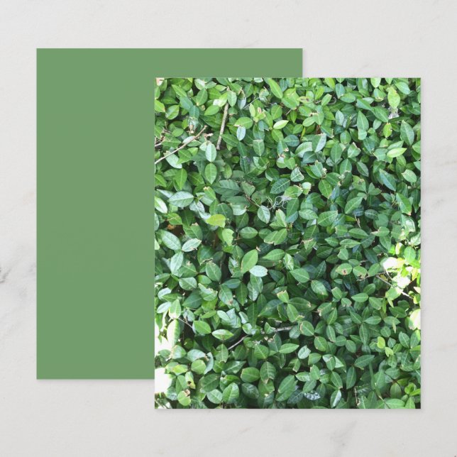 Green Jasmine Blätter Sunlight Scrapbook Paper (Vorne/Hinten)