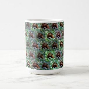 Green King Charles Cavalier Spaniel, Tasse