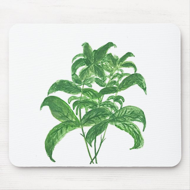 Green kitchen botanical plants herbs Basil Mousepad (Vorne)
