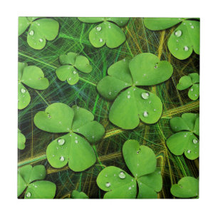 Green Kleeblatt St Patrick's iPhone 5 Case-Mate Fliese