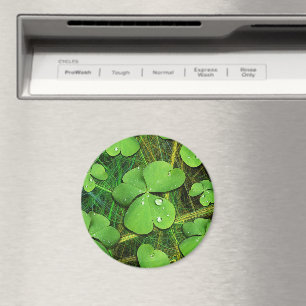 Green Kleeblatt St Patrick's iPhone 5 Case-Mate Magnet