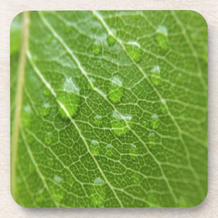 Green Leaf Getränkeuntersetzer