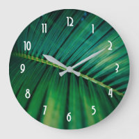 Green Leaf Palm Frond Closeup Photo