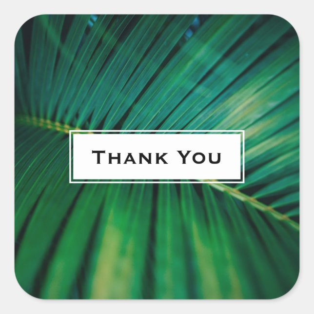 Green Leaf Palm Frond Tropical Nature Vielen Dank Quadratischer Aufkleber (Vorderseite)
