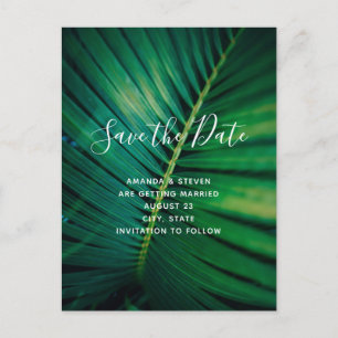 Green Leaf Palm Frontend Closeup Foto Save the Dat Einladungspostkarte