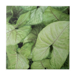 Green Leaf Print Fliese