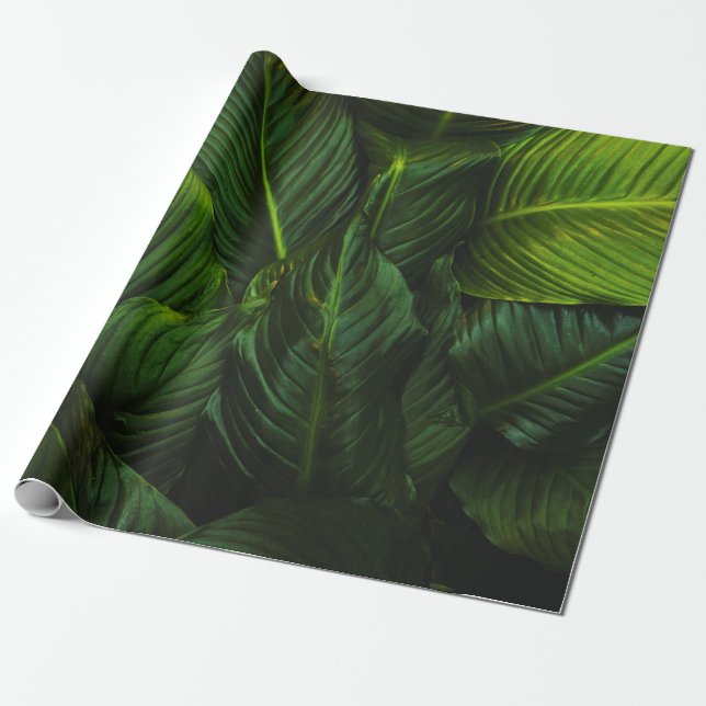 GREEN-LEAFED PLANT GESCHENKPAPIER (Ungerollt)